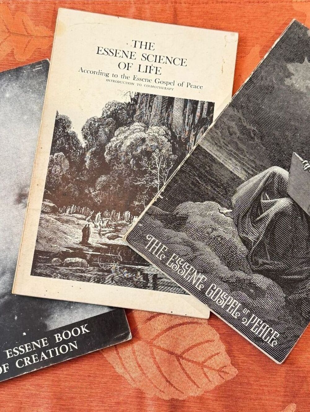 Edmond Bordeaux Szekely Essene 3 Vintage Books 1978 1979 1981 Cosmotherapy